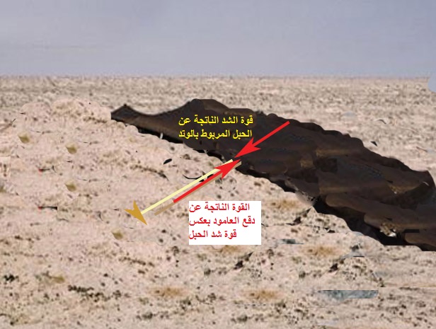 كيف تنصب بيون الشعر، القوى المتعاكسة التي يستخدمها الاعراب في نصب الجبيوت الشعر - الاعجاز العلمي في سورة الغاشية