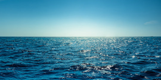 200302122449_1_540x360